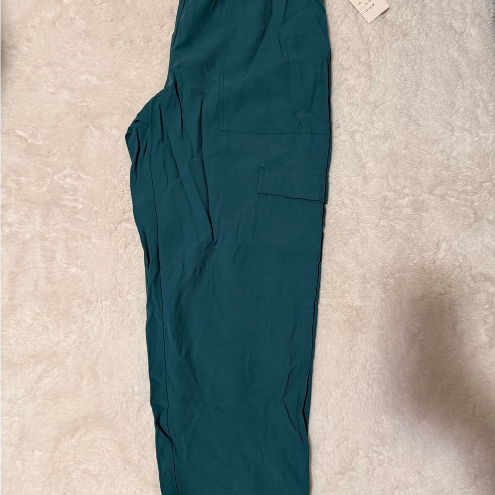 Teal Pants